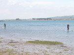 JT00931 Brad and Marijn stand up paddling (sup) on River Taw estuary.jpg